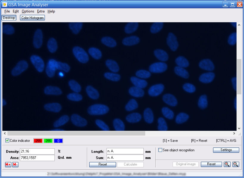 GSA Image Analyser